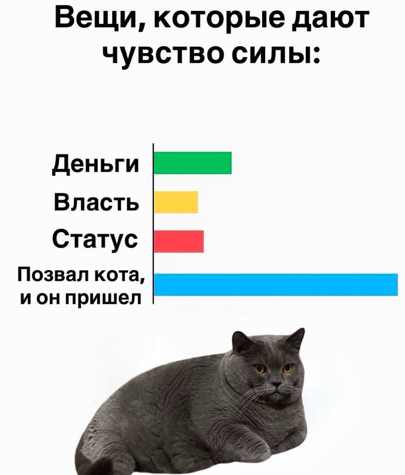 Вещи, которые дают чувство силы: деньги, власть, статус, позвал кота и он пришел