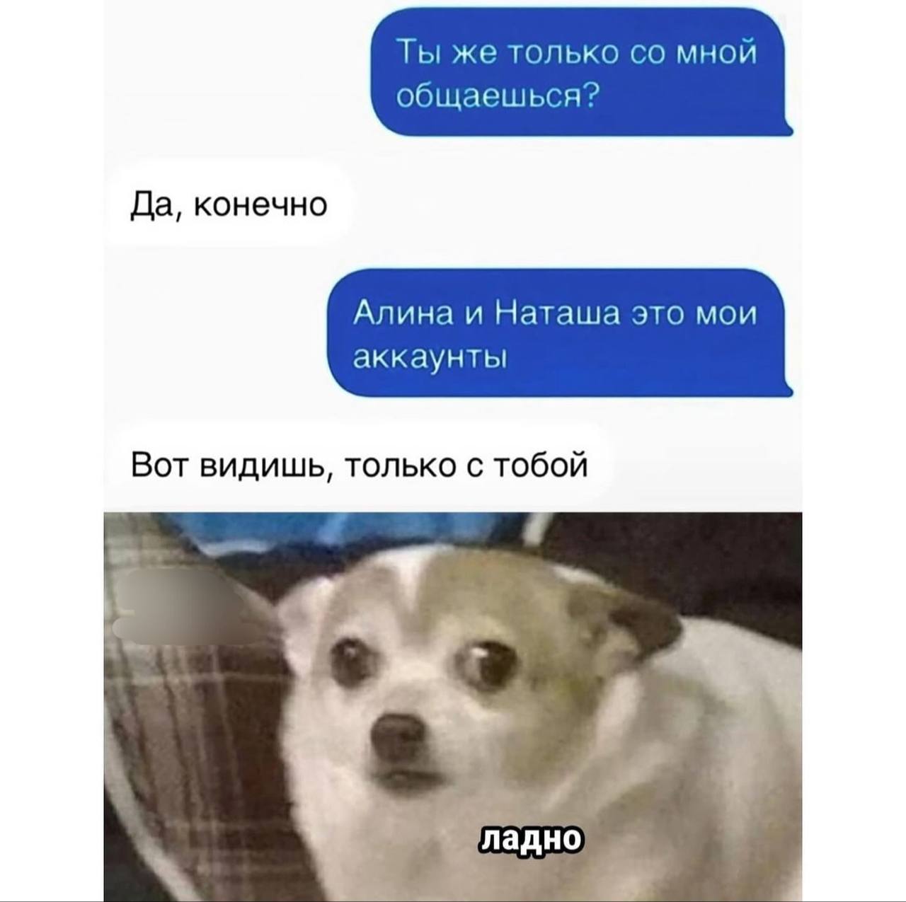 Ты же только со мной общаешься? Да, конечно. Алина и Наташа это мои аккаунты. Вот видишь, только с тобой