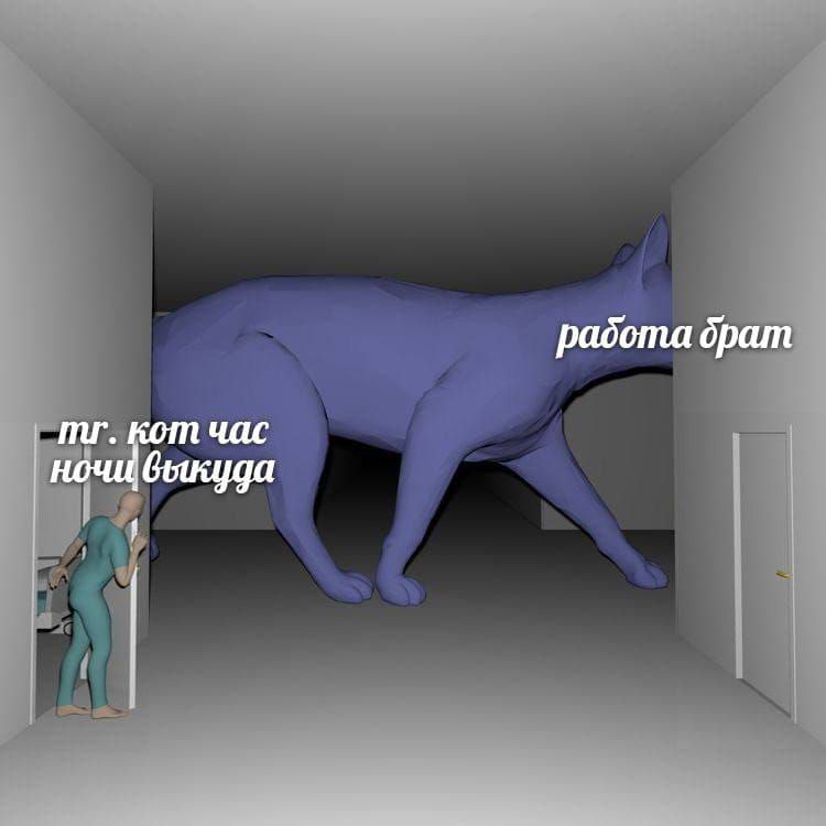 Mr. Кот, час ночи, вы куда? Работа, брат