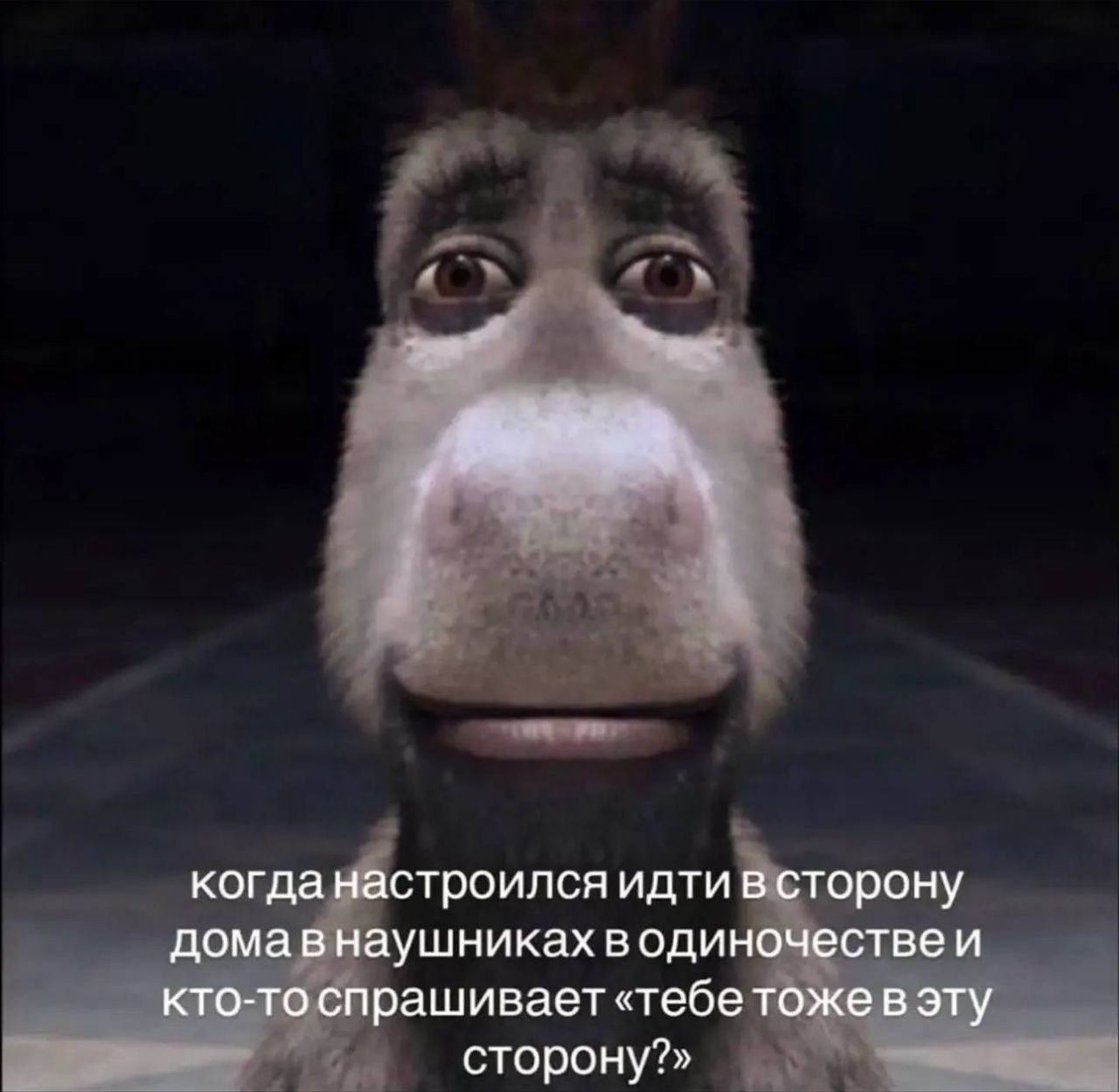 Когда настроился идти в сторону дома в наушниках в одиночестве и кто-то спрашивает 