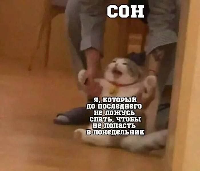 Сон. Я, который до последнего не ложусь спать, чтобы не попасть в понедельник