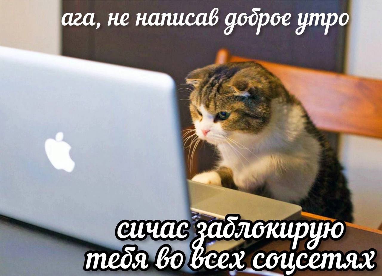 Ага, не написав доброе утро. Сичас заблокирую тебя во всех соцсетях