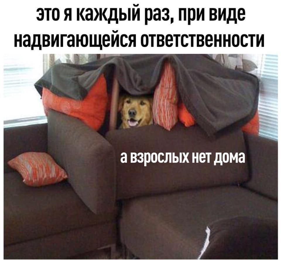 Это я каждый раз при виде надвигающейся ответственности: А взрослых нет дома