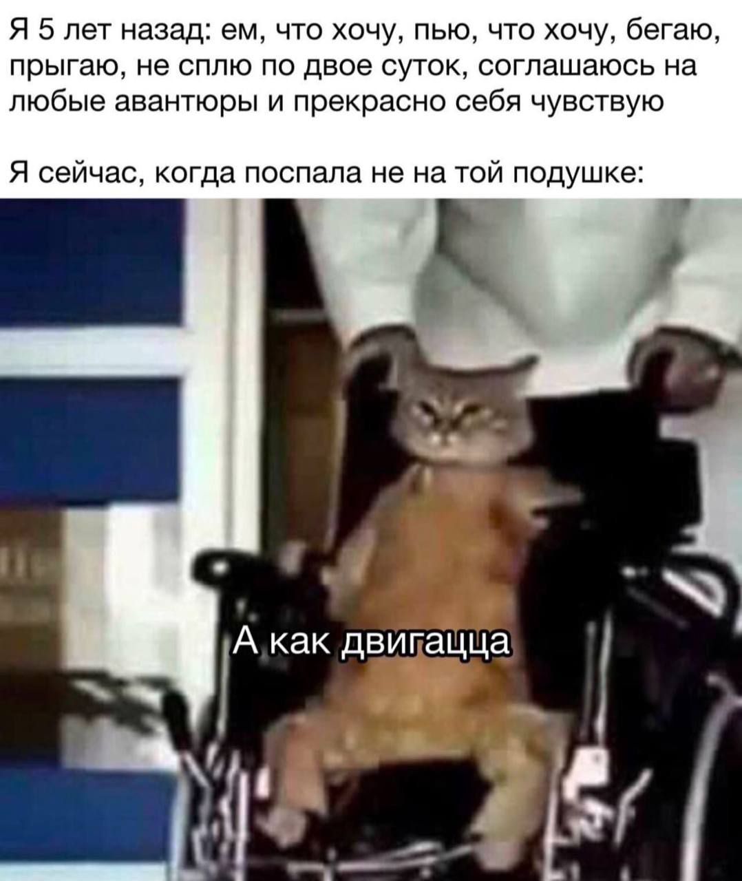 Я 5 лет назад: ем, что хочу, пью, что хочу, бегаю, прыгаю, не сплю по двое суток, соглашаюсь на любые авантюры и прекрасно себя чувствую. Я сейчас, когда поспала не на той подушке: а как двигацца